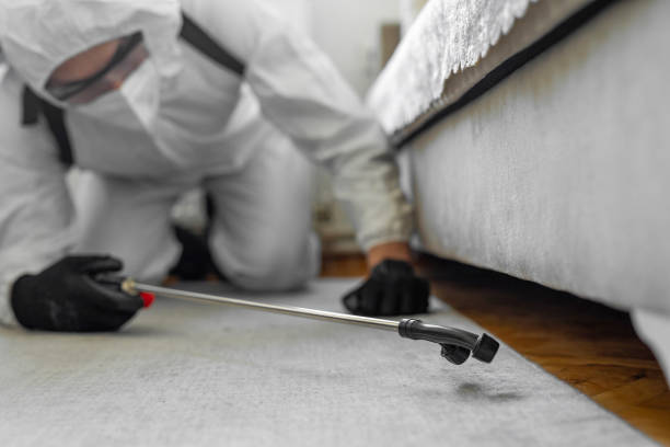 Professional Bed Bug Control technician working in Huntington Beach, CA