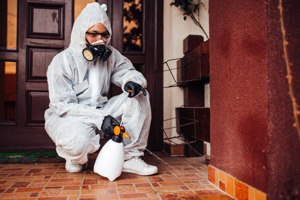 Reliable Bed Bug Control contractor in Huntington Beach, CA by Nex Pest Control