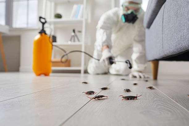 Trusted Mosquito Control service in Huntington Beach, CA - Nex Pest Control