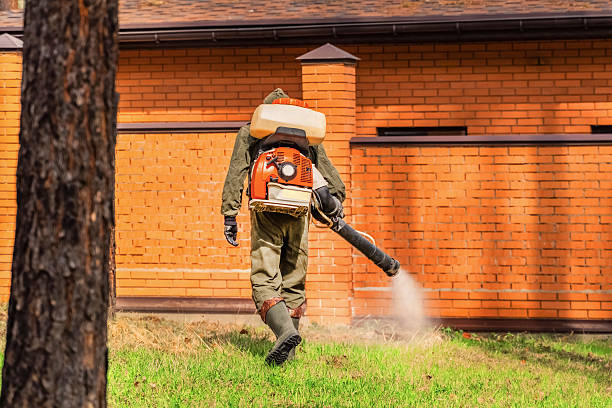 Trusted Cockroach Control service in Huntington Beach, CA - Nex Pest Control